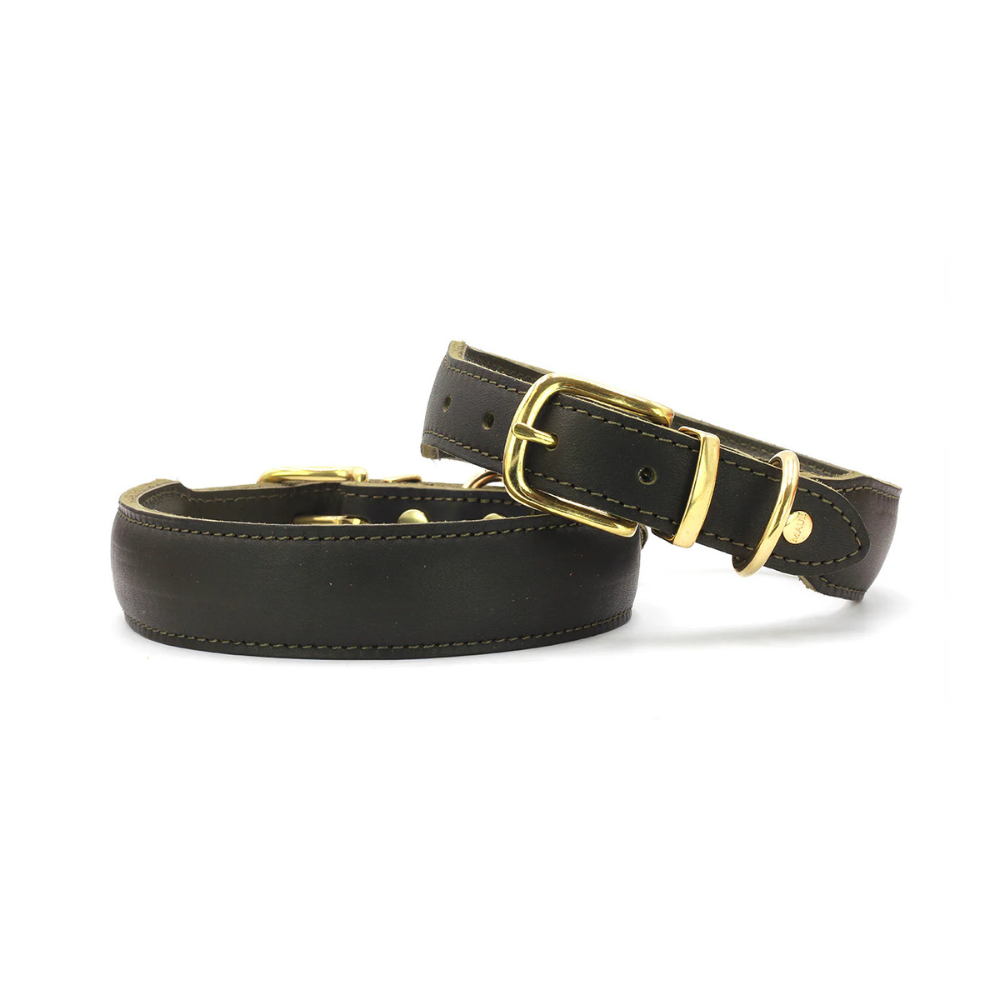 Zwei Halsbänder Mono Pop Dark Khaki - MAUL Ledermanufaktur