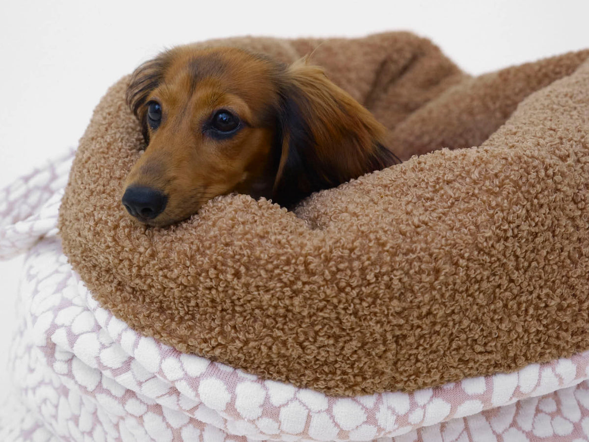 Lumiies The Studio Nest mobiles Hundebett & Schlafsack in Cloudy Pebble