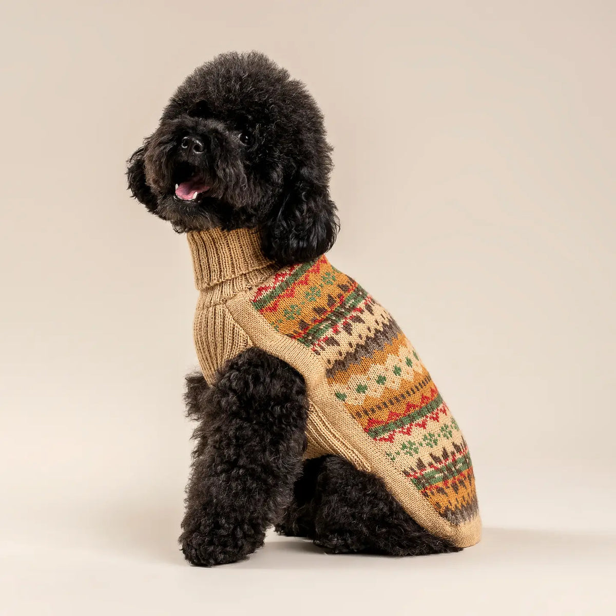 Hundepullover Fair Isle Finn aus Alpaka