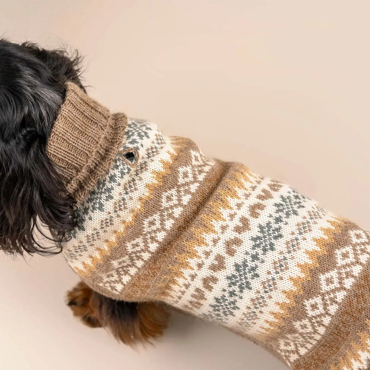 Hundepullover Fall Medley aus Alpaka