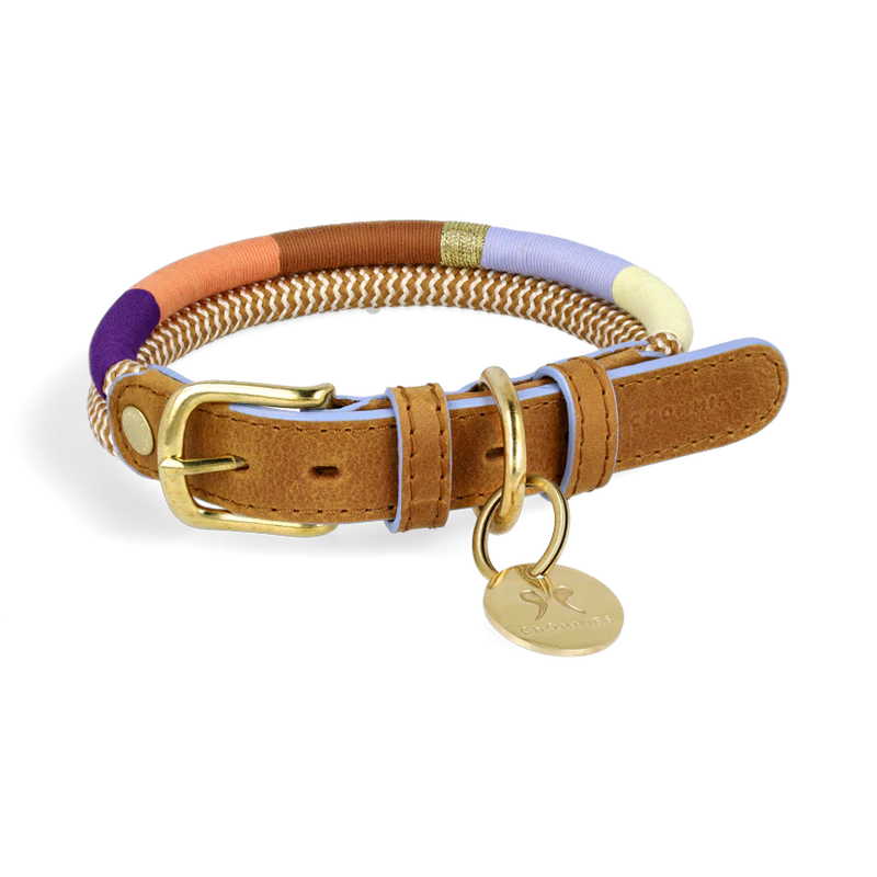 Chommies Adjustable Dog Collar Halsband Summer