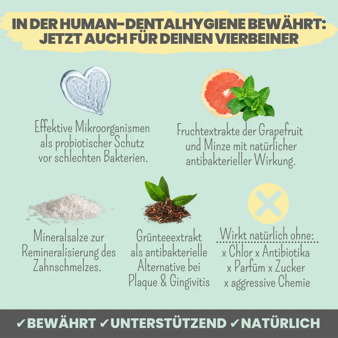 noms+ Dental-Spray bei Zahnstein