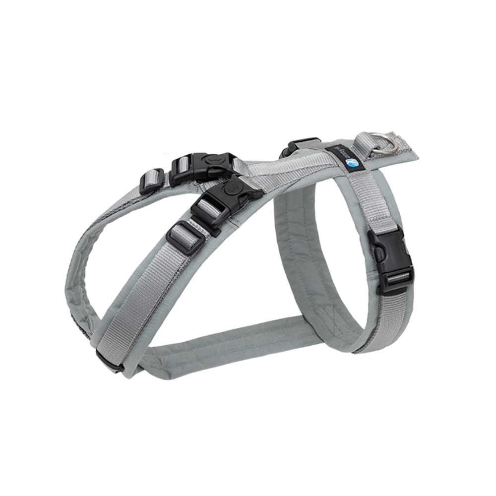 annyx Hundegeschirr Fun OPEN Grau | Silber