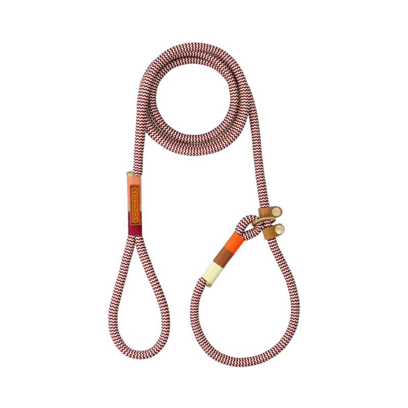 Chommies Slip-On Dog Leash Retrieverleine Autumn