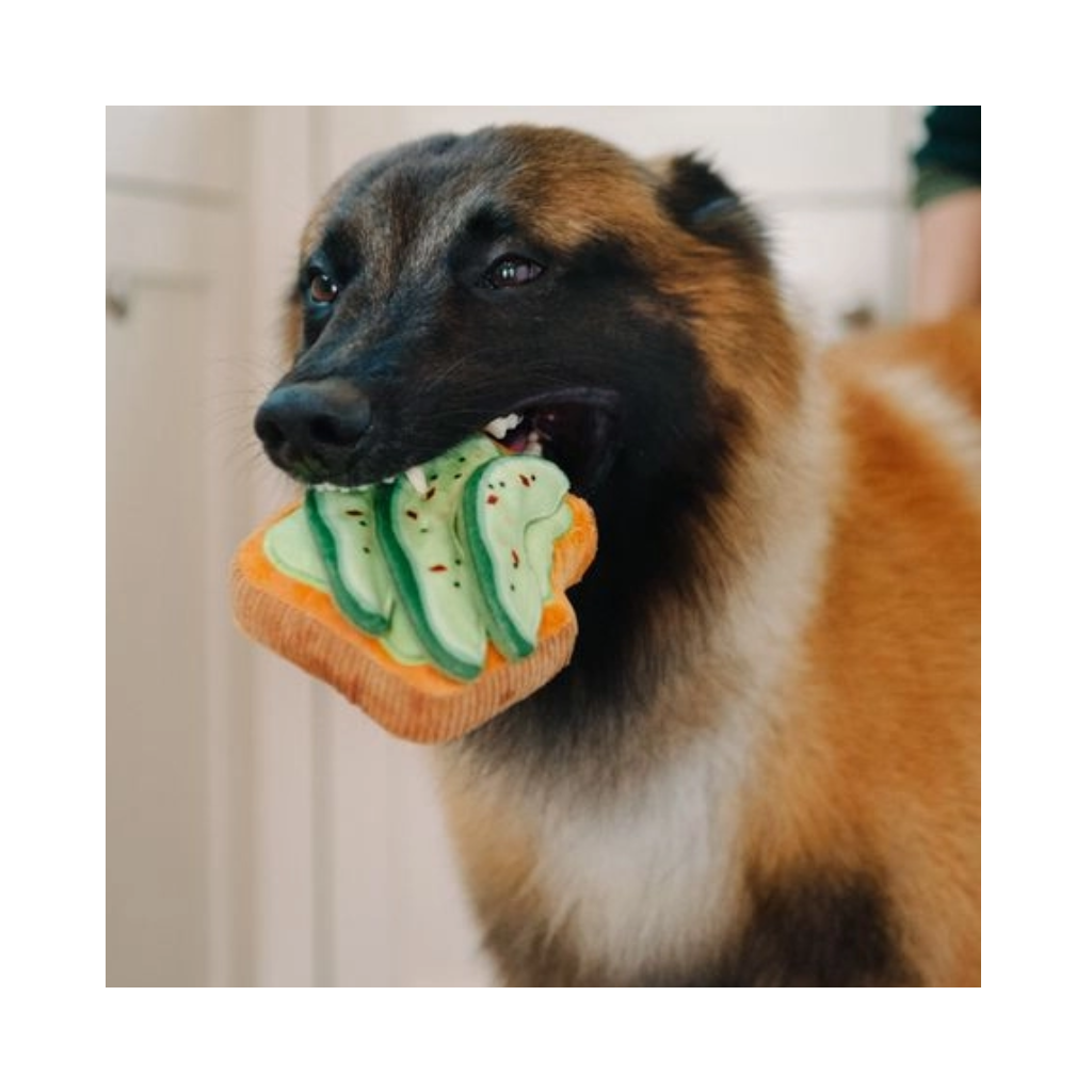Hund mit P.L.A.Y Hundespielzeug Avo-Doggo-Toast