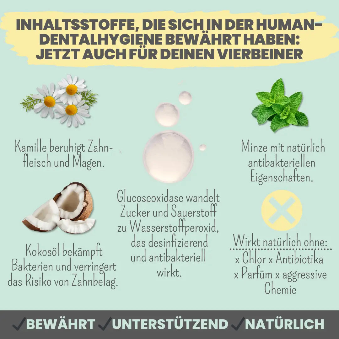 Enzymodent: Enzymatische Zahnpasta mit natürlicher Pflege- und Präventionsformel