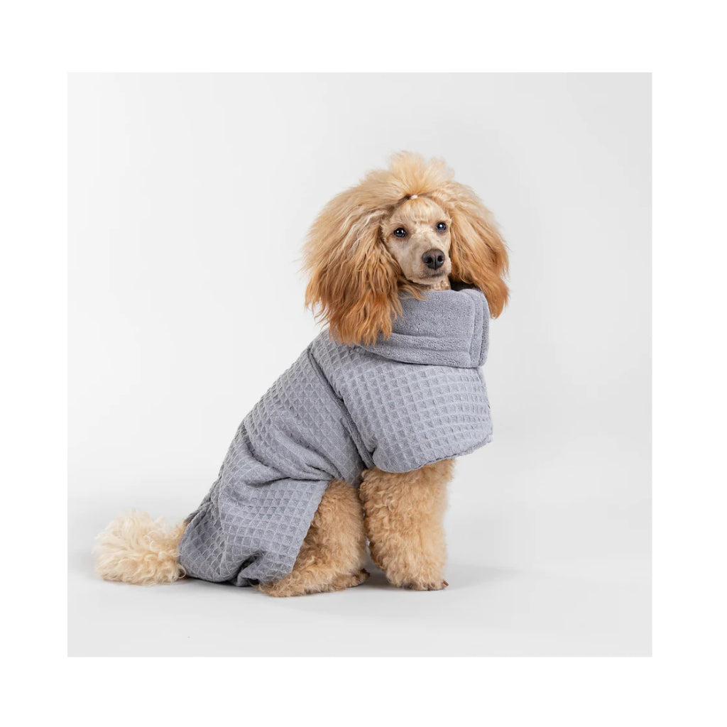 Hund mit Hundebademantel Drying Coat Spa GREY - PAIKKA