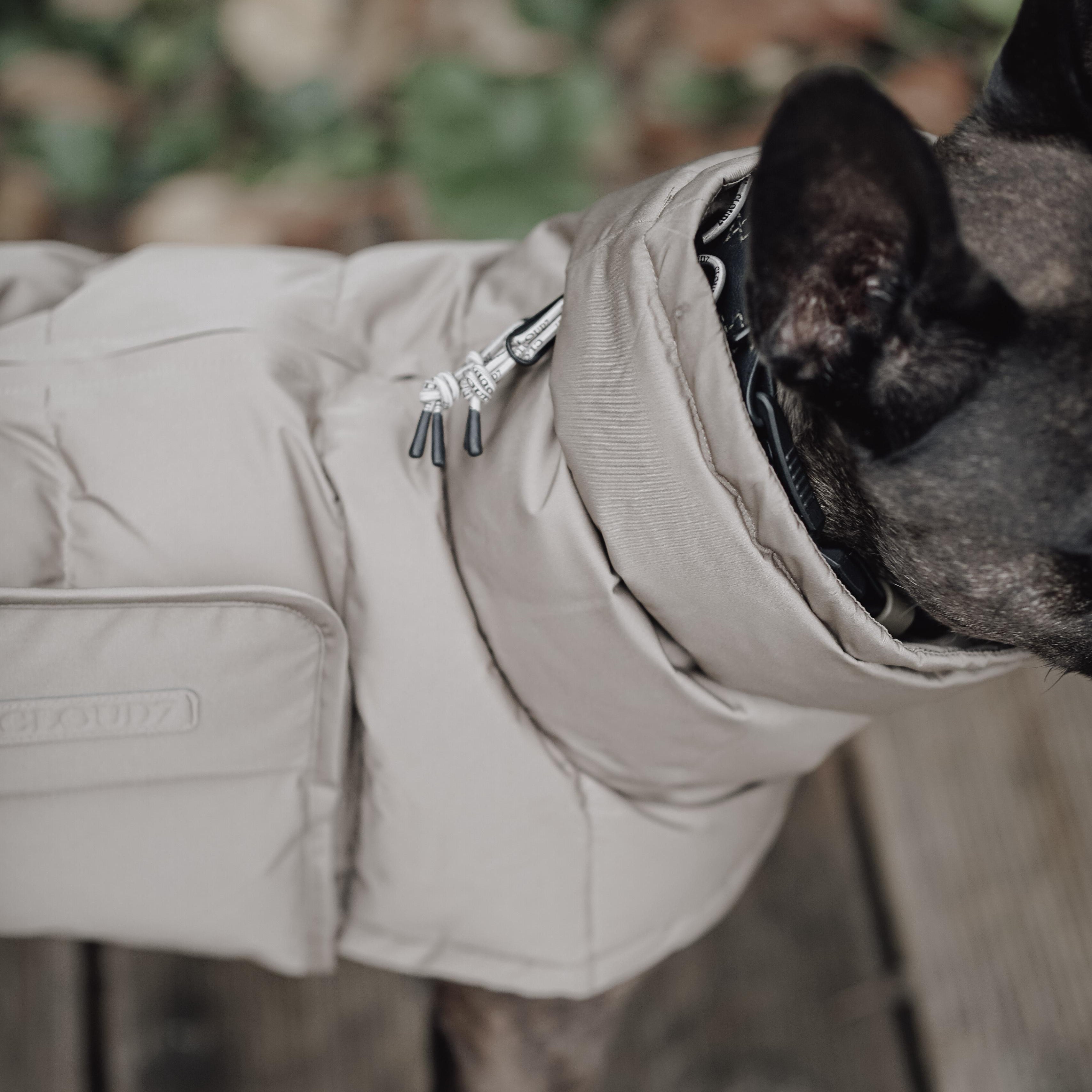 Cloud7 Hundemantel Winter ALASKA Franz. Bulldogge Sandy Brown