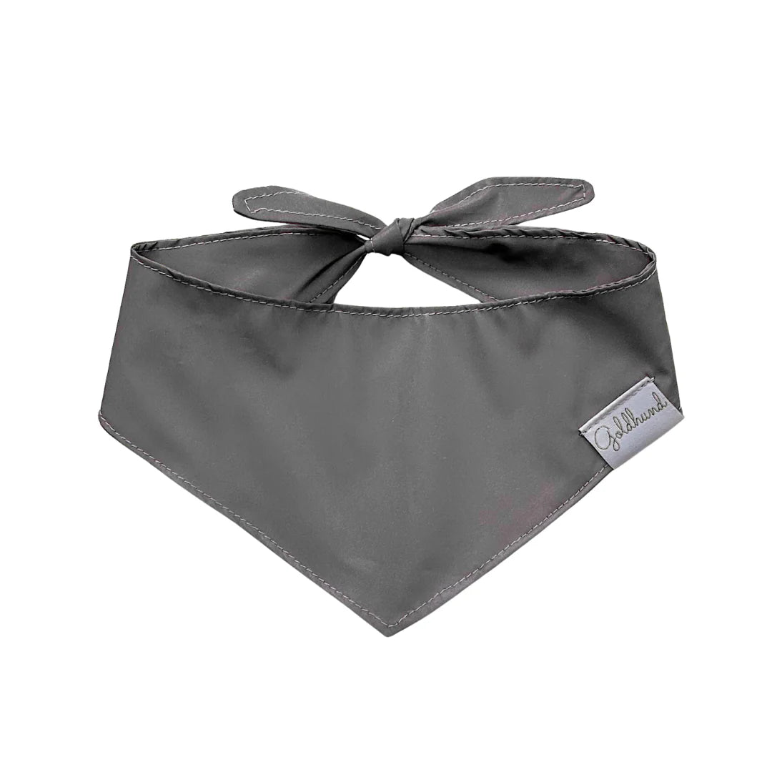 Goldhund Hundehalstuch Reflective