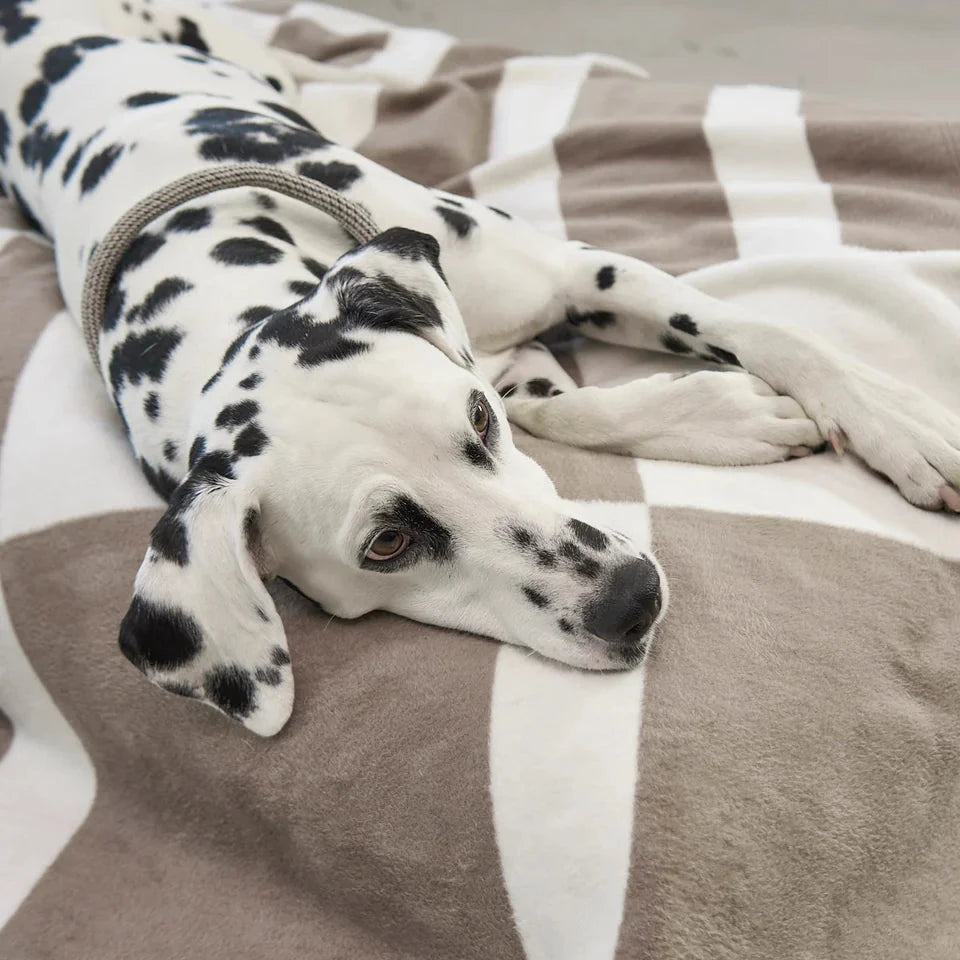 MiaCara Blocco Hundedecke Taupe Natur