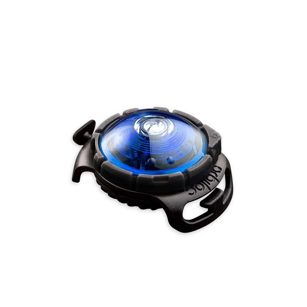 Orbiloc® Dog Dual LED Hundesicherheitslicht wasserdicht