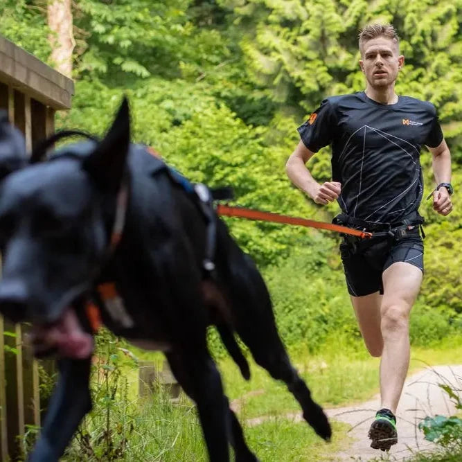Hundeleine BUNGEE Leash 2.0
