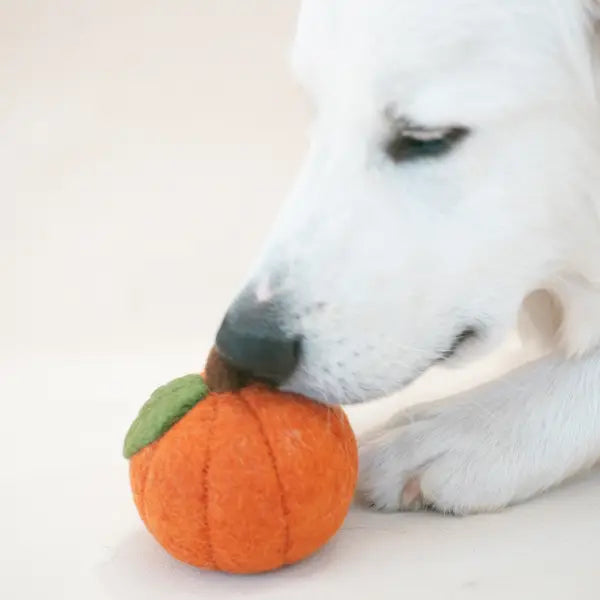 Kürbis aus 100% Wollfilz
