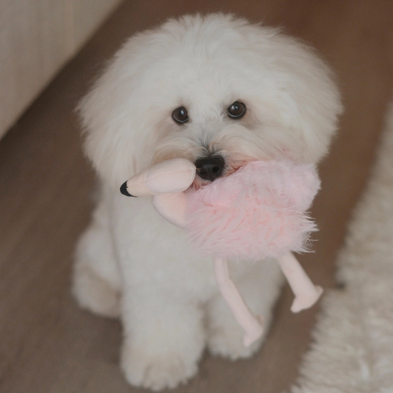 Hundespielzeug Flamingo