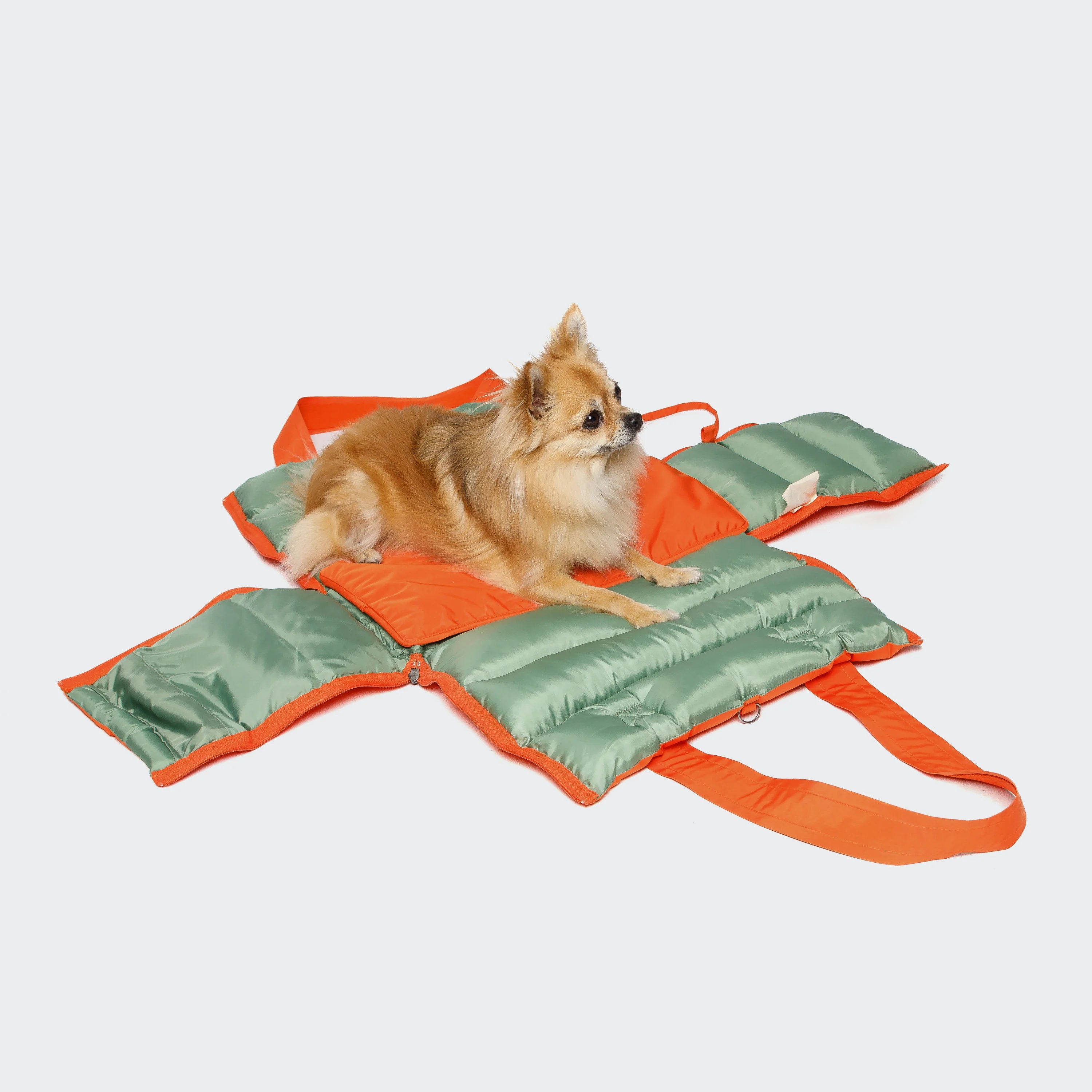 Cloud7 Hundetasche Montreal 2-in-1 Burnt Orange ausgefaltet