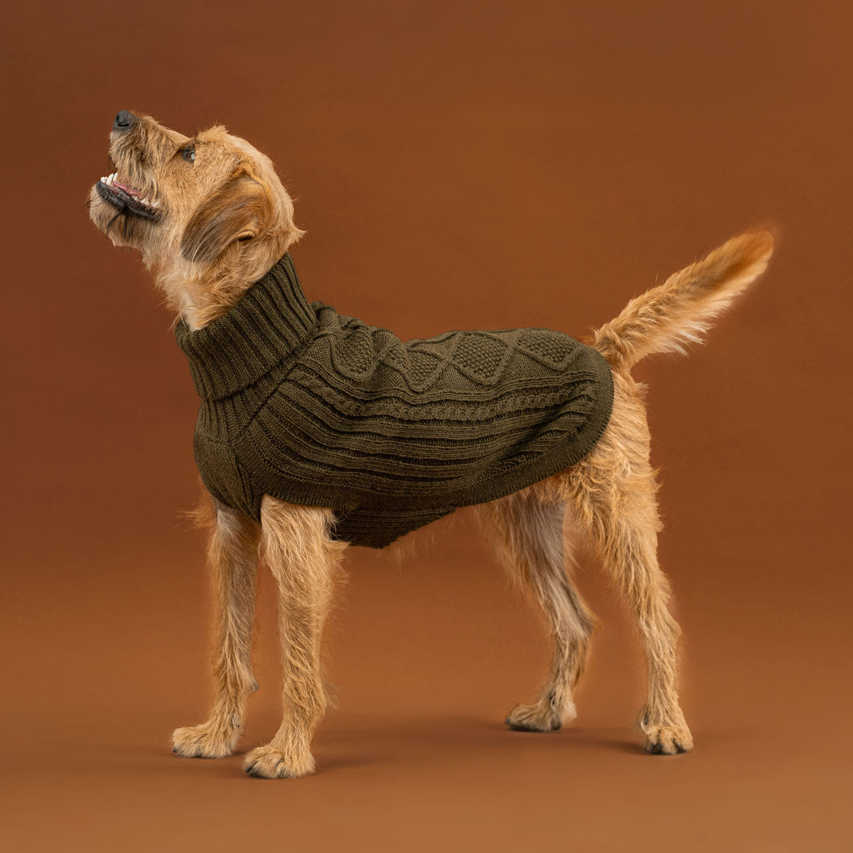 Hundepullover ARAN Diamant in Forest Green aus Alpaka
