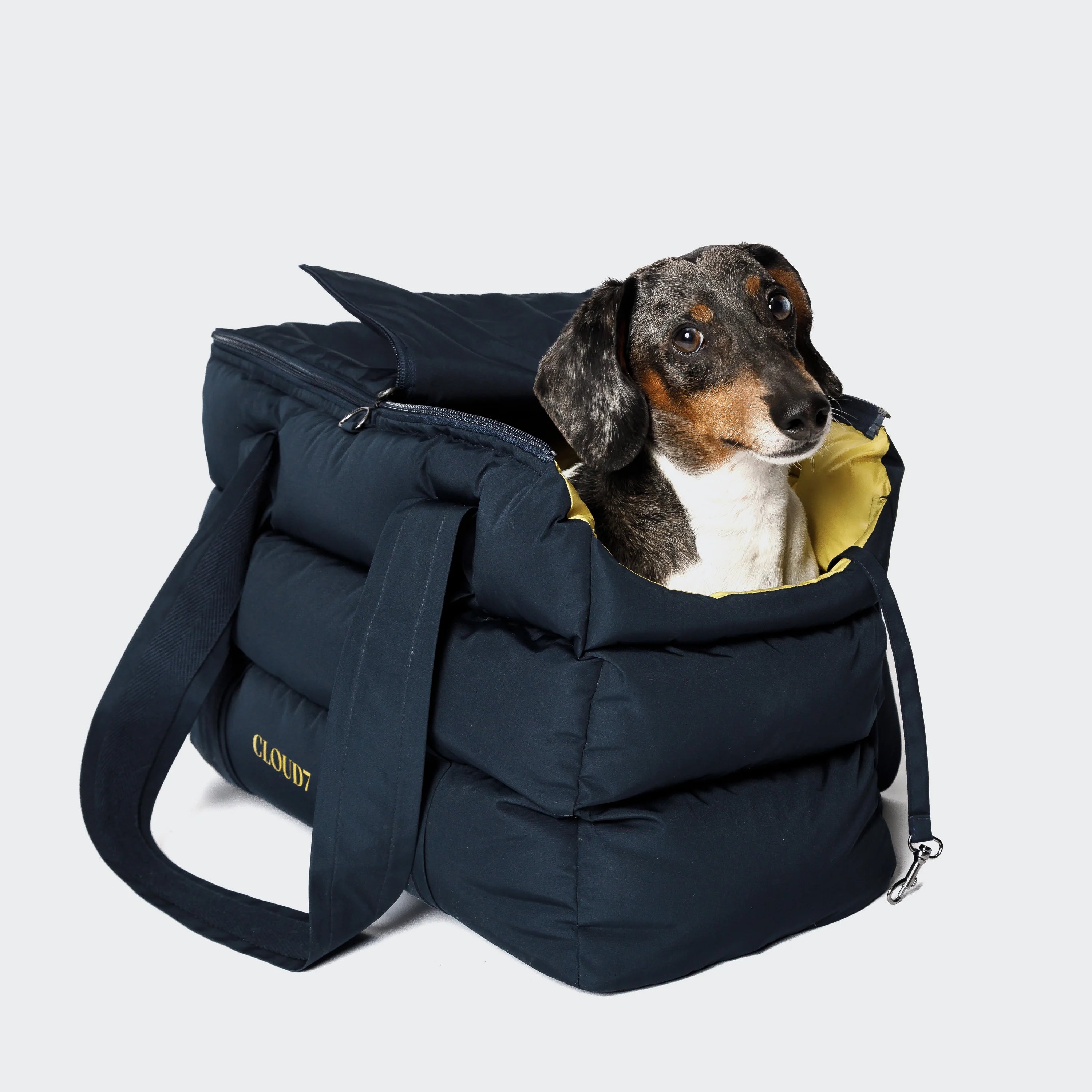 Hund in Cloud7 Hundetasche Montreal Navy 2024