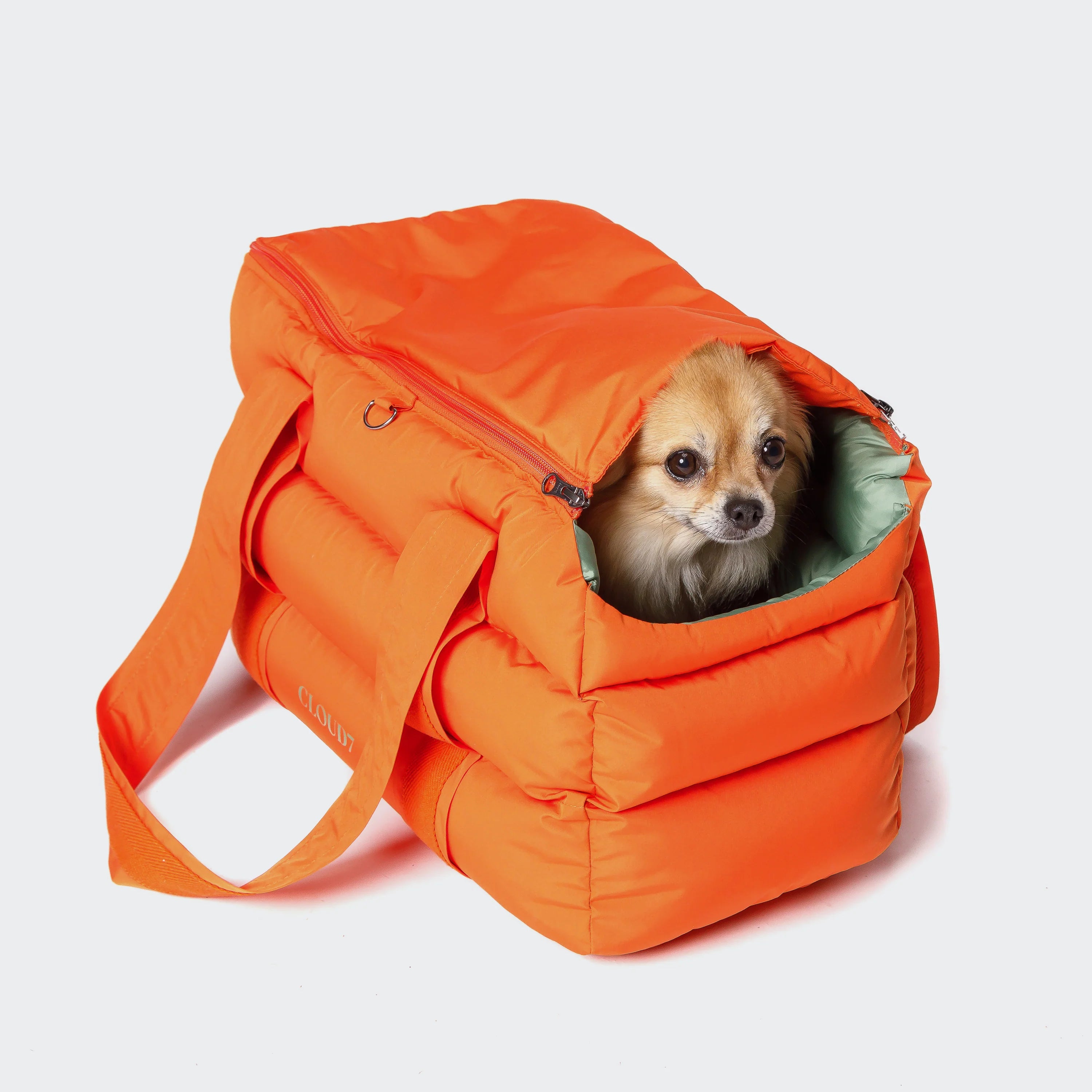 Hund in Cloud7 Hundetasche Montreal Orange 2024