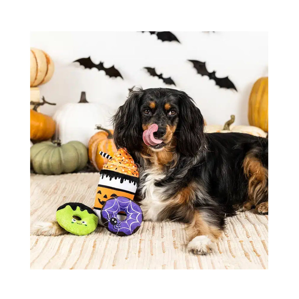 Hund mit Hundespielzeug Halloween "Set Coffee scream sugar" 2 - PetShop by Fringe Studio