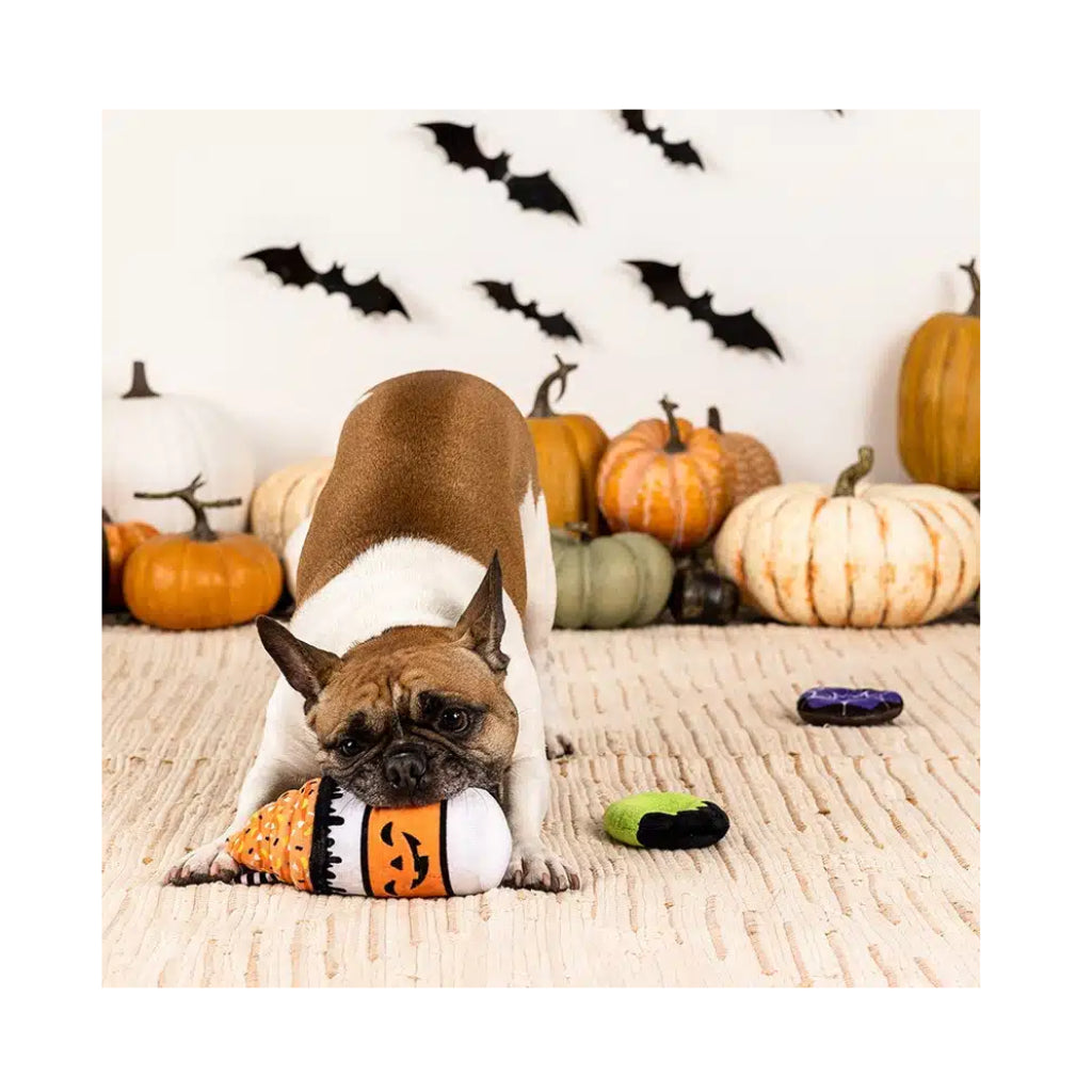 Hund mit Hundespielzeug Halloween "Set Coffee scream sugar" - PetShop by Fringe Studio