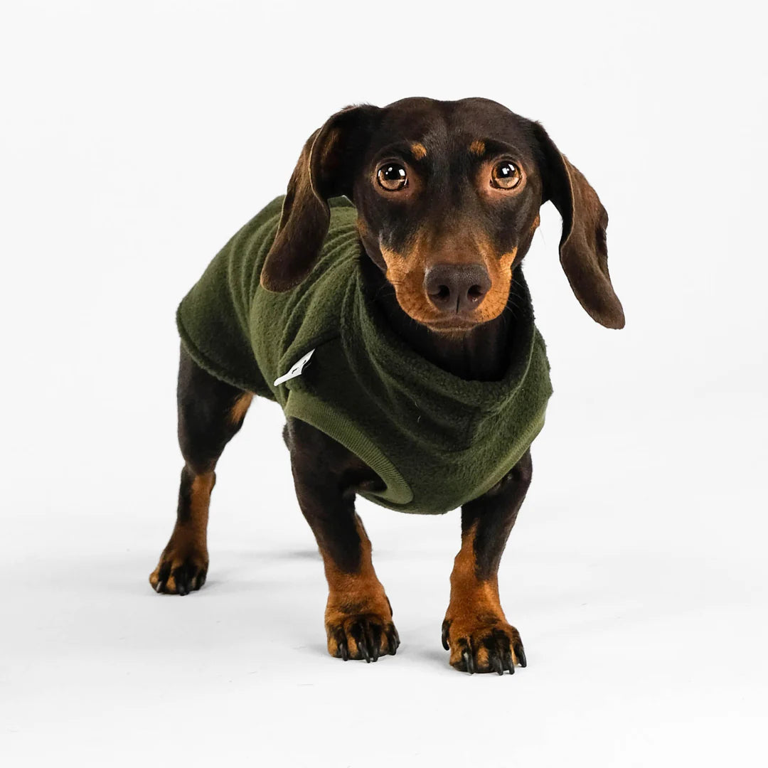 KARMA HUND Longshirt 2.0 für Dackel in Dark Olive