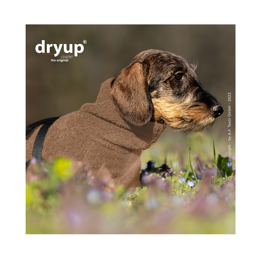 Moodbild Hundebademantel DRYUP Cape Dackel COFFEE - actionfactory