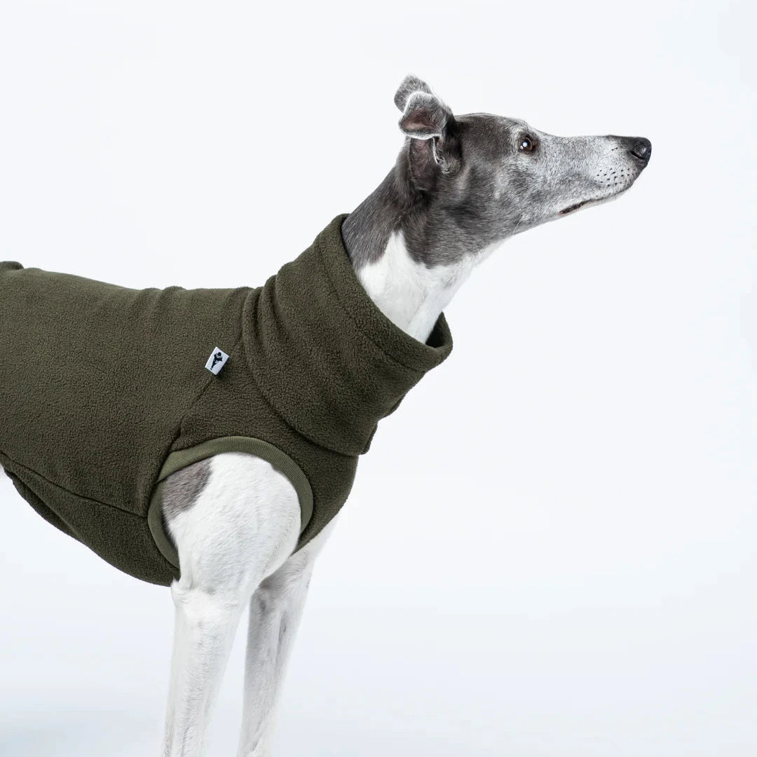 KARMA HUND Longshirt für Windhund in Dark Olive