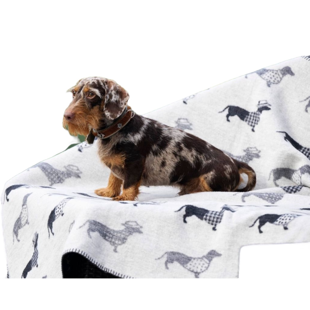 Dackel Decke "Teckel" mit Dachshund-Motiv in Grau