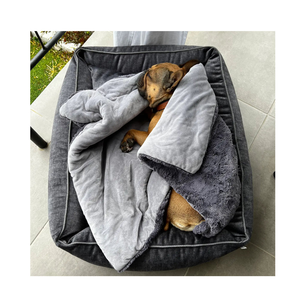 Hund mit Decke COZY - Edle Webpelz-Decke - Laboni