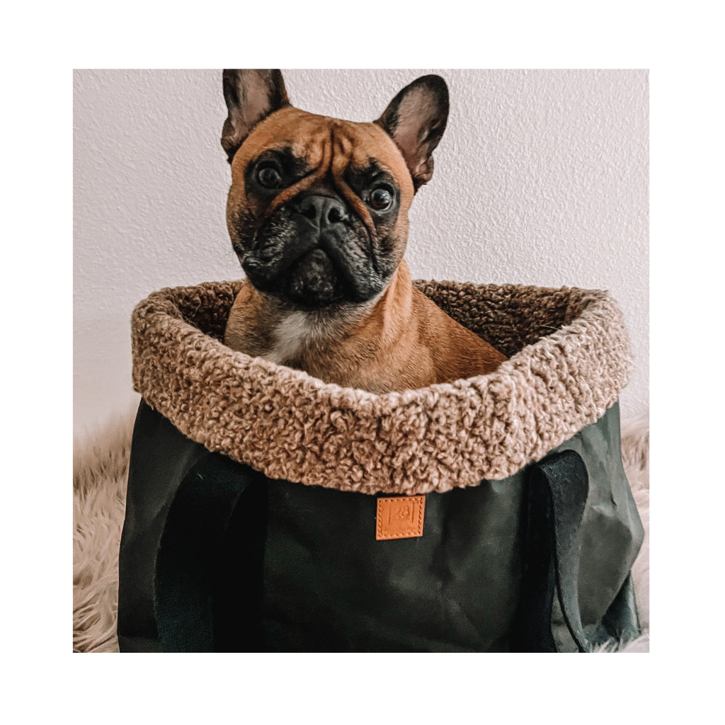 Hundetasche DOROTHEA Paper Dog Bag BLACK Bouclé Wolle