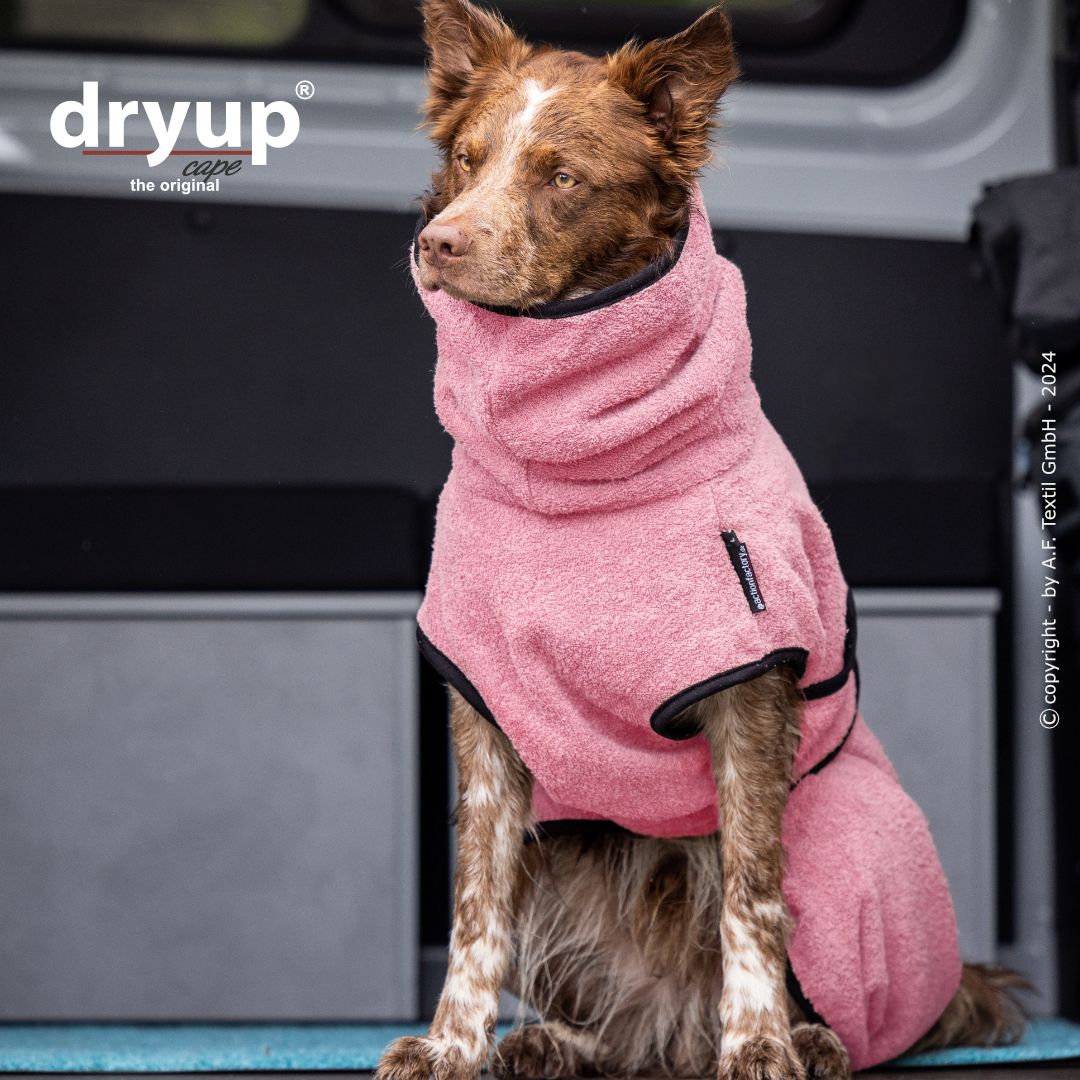 Hundebademantel DRYUP Cape Rose