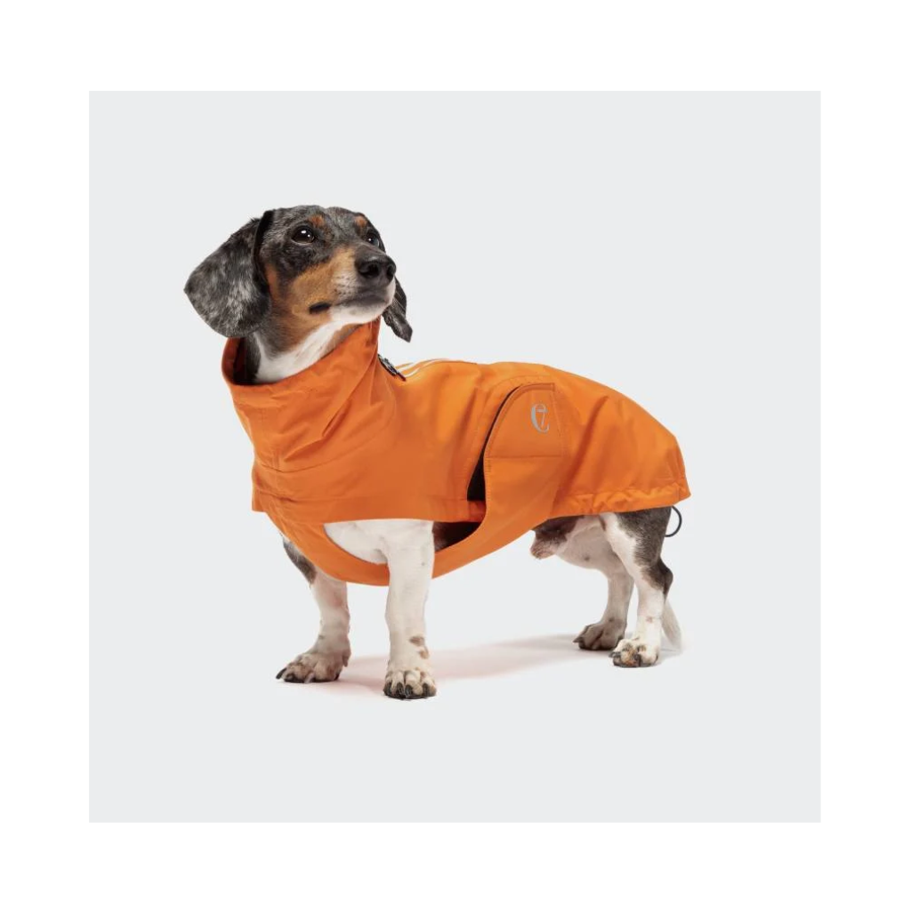 Tragebild mit Cloud7 Hunderegenmantel Dublin DACKEL Orange