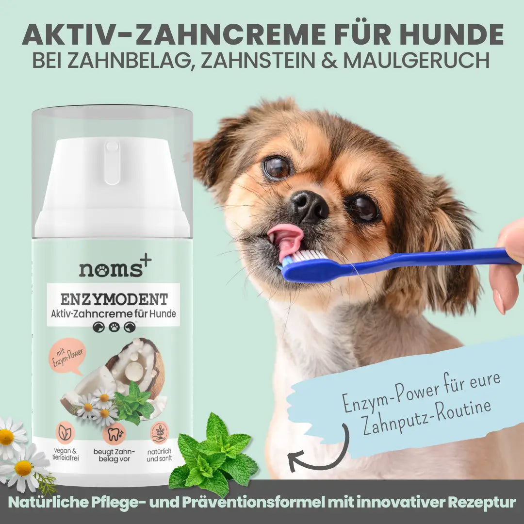 Enzymodent: Enzymatische Zahnpasta mit natürlicher Pflege- und Präventionsformel