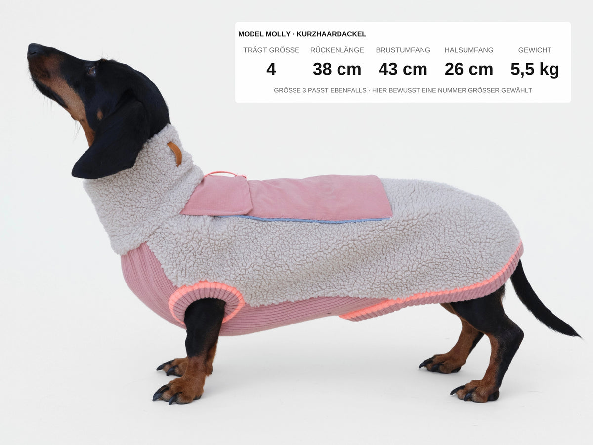 lumiies® Sport Racer Hundepollover aus Teddy-Sherpa-Fleece