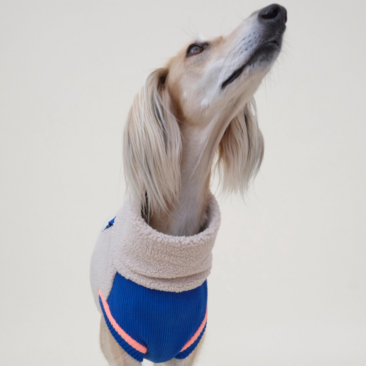 lumiies® Sport Racer Hundepullover aus Teddy-Sherpa-Fleece Royal Alpine