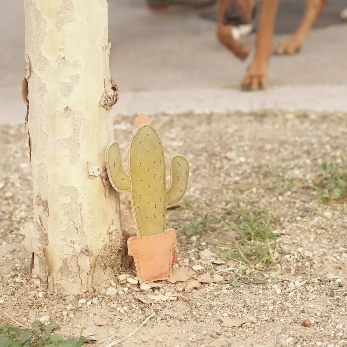 Hundespielzeug aus Wildleder "Kaktus"