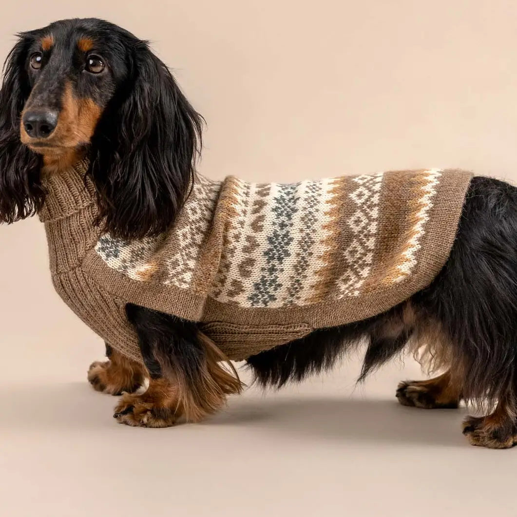 Hundepullover Fall Medley aus Alpaka