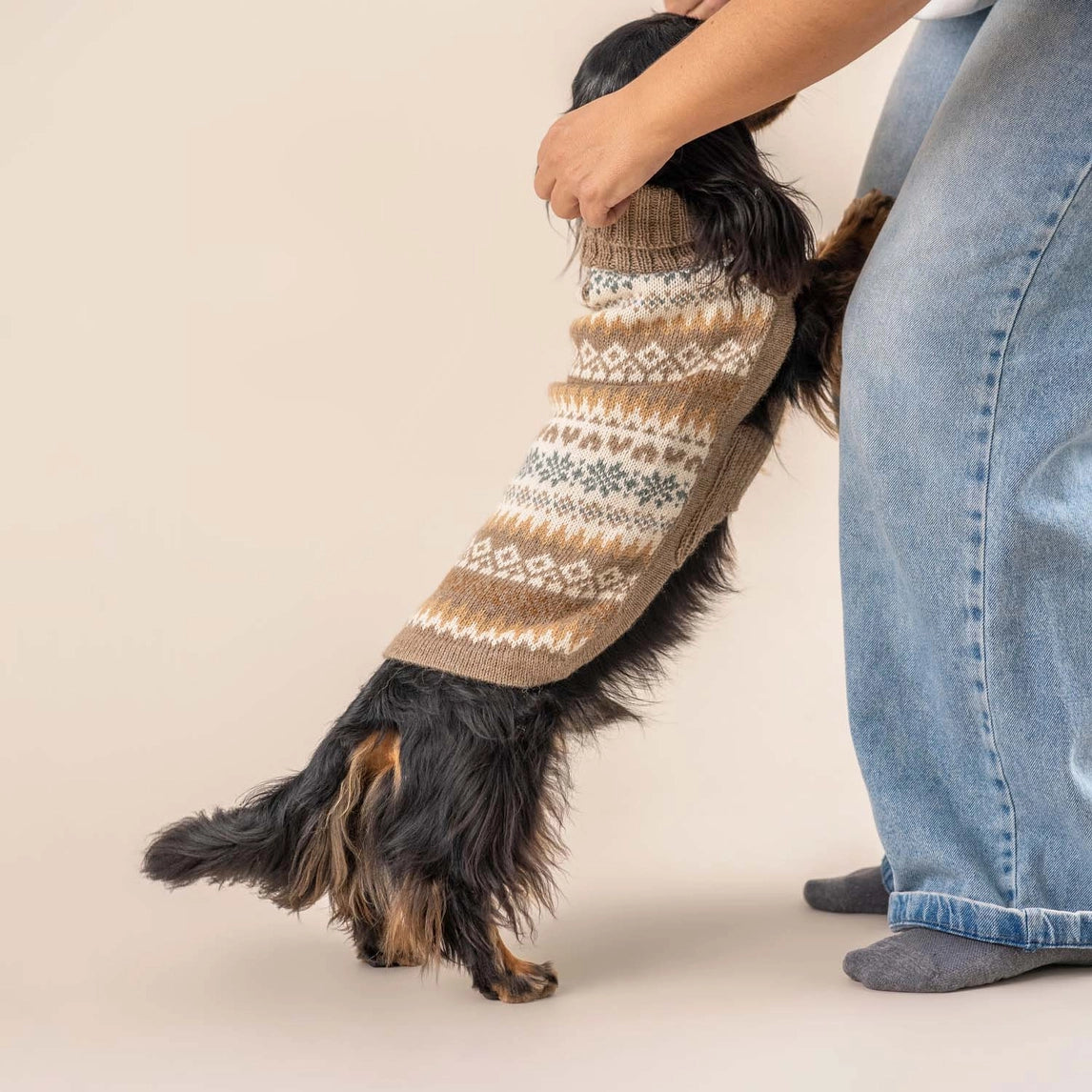 Hundepullover Fall Medley aus Alpaka