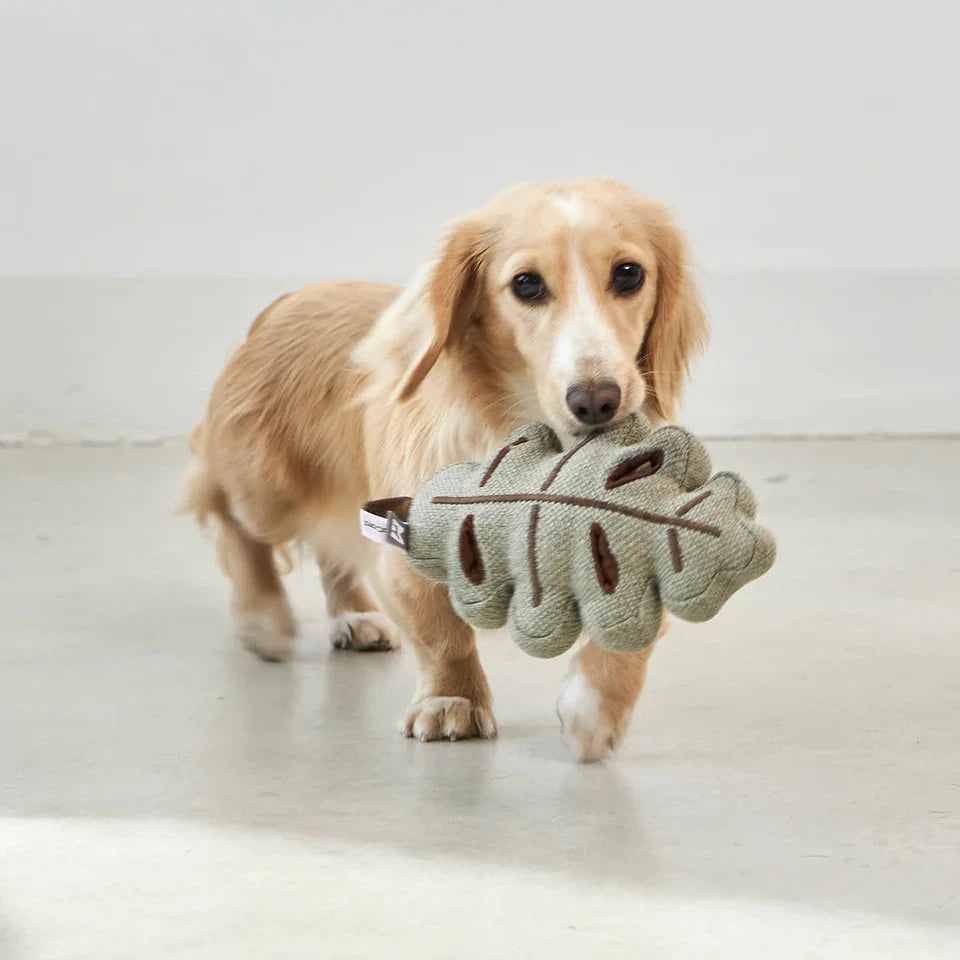MiaCara Schnüffelspielzeug Foresta Blatt