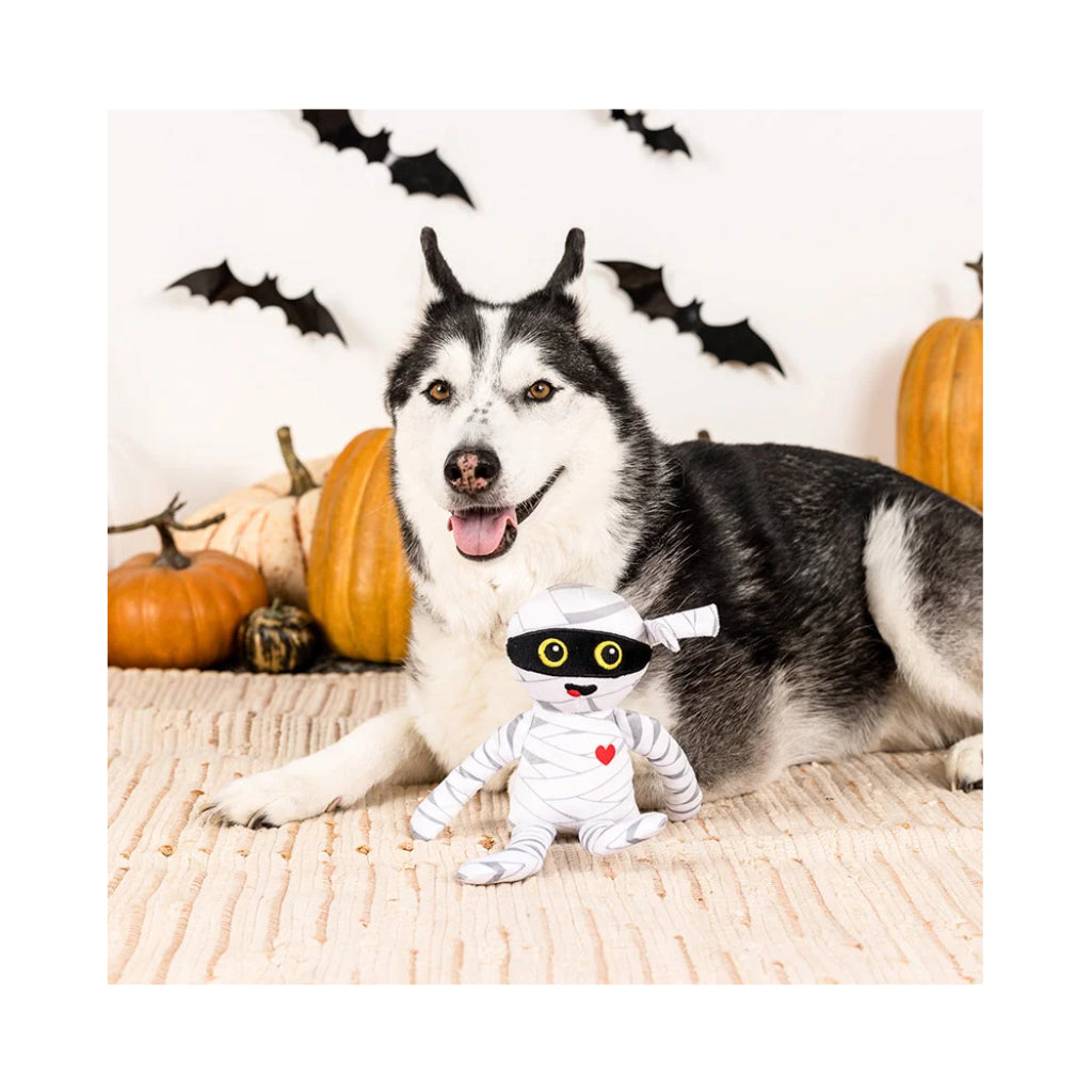 Hund mit Hundespielzeug Halloween "Oh my gauze" - PetShop by Fringe Studio