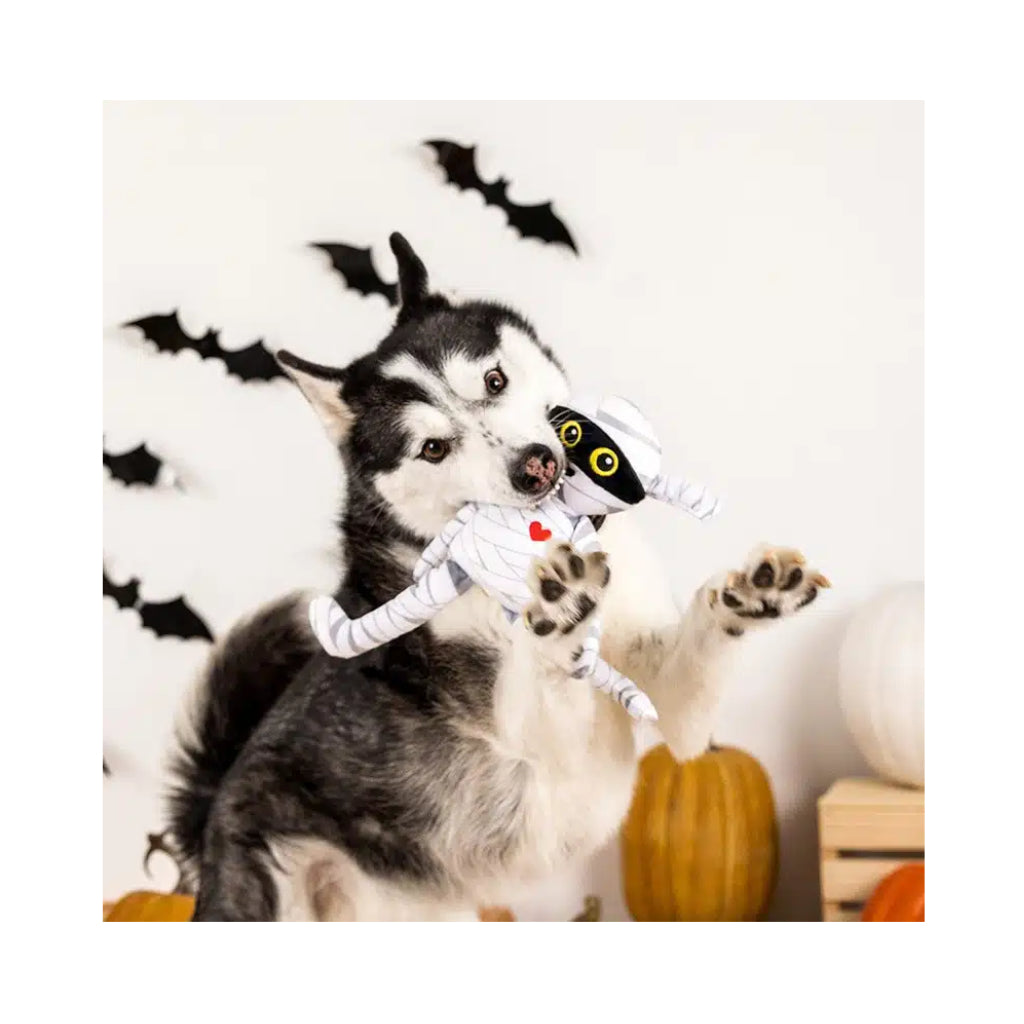 Hundespielzeug Halloween "Oh my gauze"