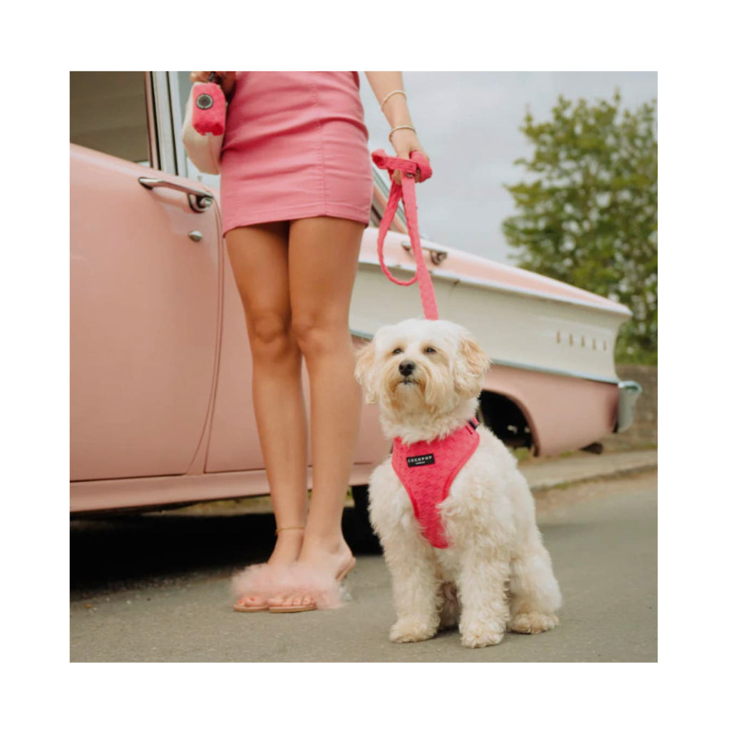 Tragebild Hundegeschirr FROTTEE Hot Pink - COCOPUP London