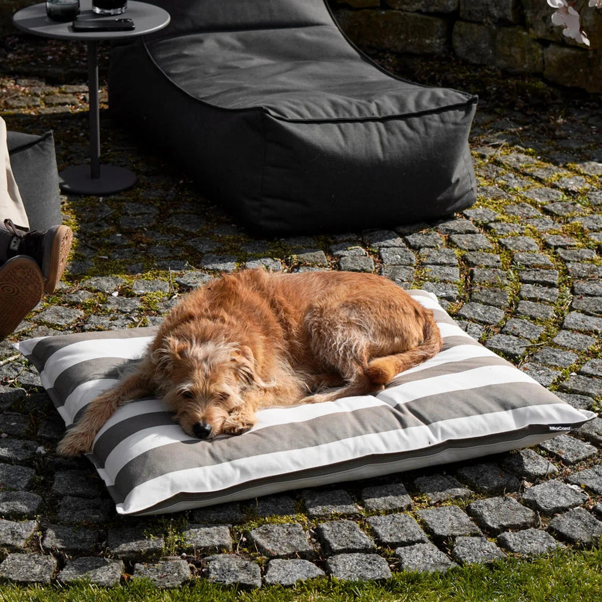 MiaCara Hundekissen Giardino Slim Outdoor Taupe/White