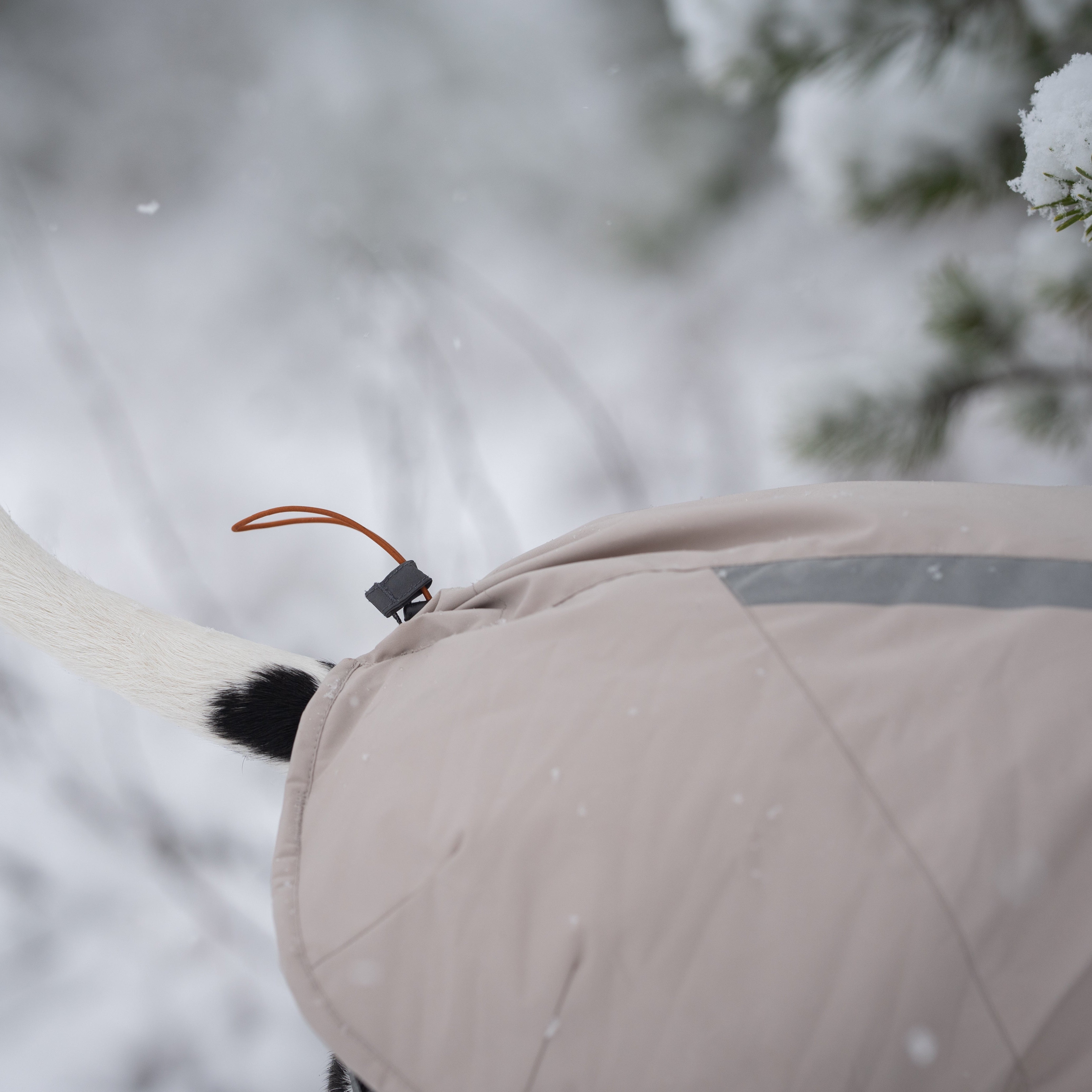 Hundemantel Glacier Wool Jacket 3.0 Green