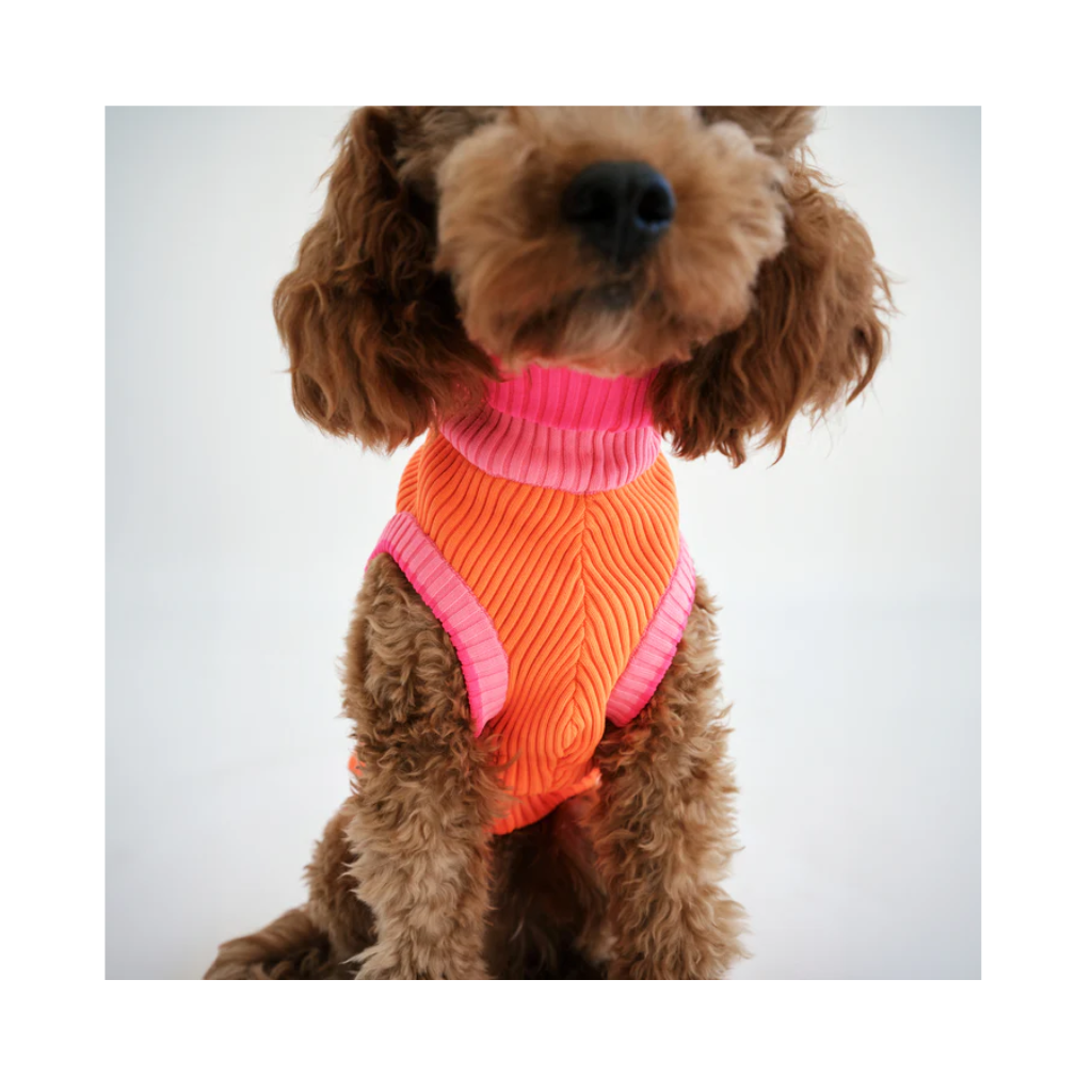 Hundepullover THE GLOW JUMPER - Sunny Tangerine