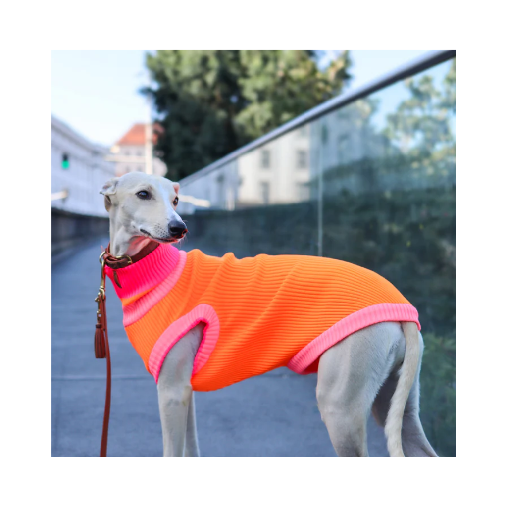 Hundepullover THE GLOW JUMPER - Sunny Tangerine