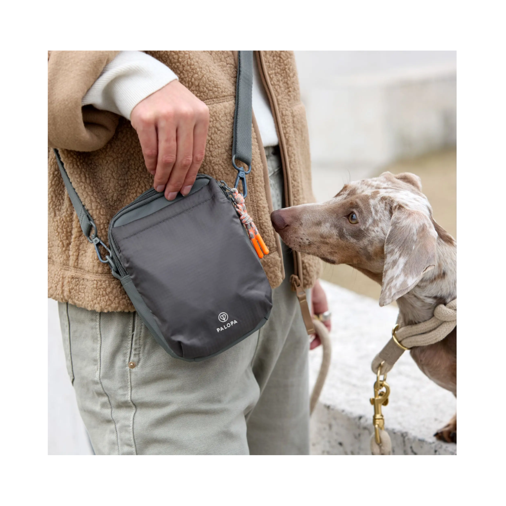Tragebild Dog Snack Bag Greta Leckerlibeutel - Dark Grey - PALOPA
