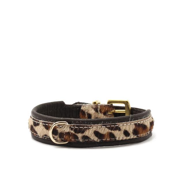 Halsband Afrika Gepard MINI