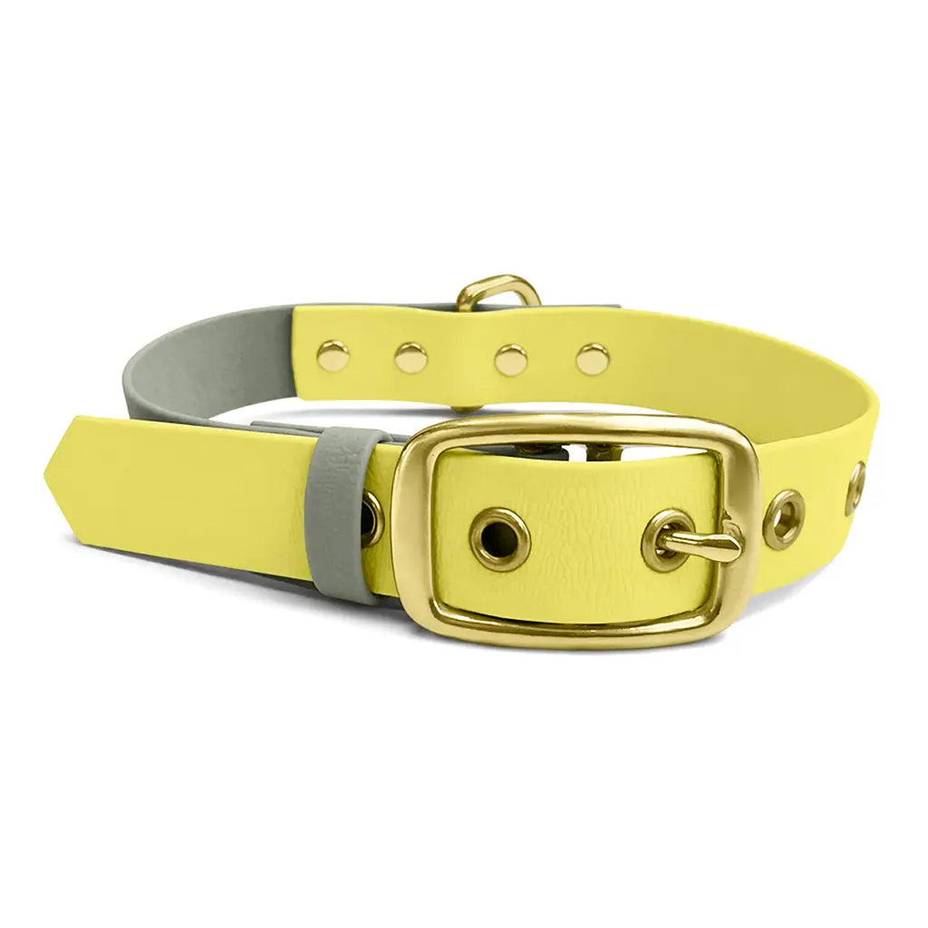 Halsband Outdoor Lemon Seagras wasserfest