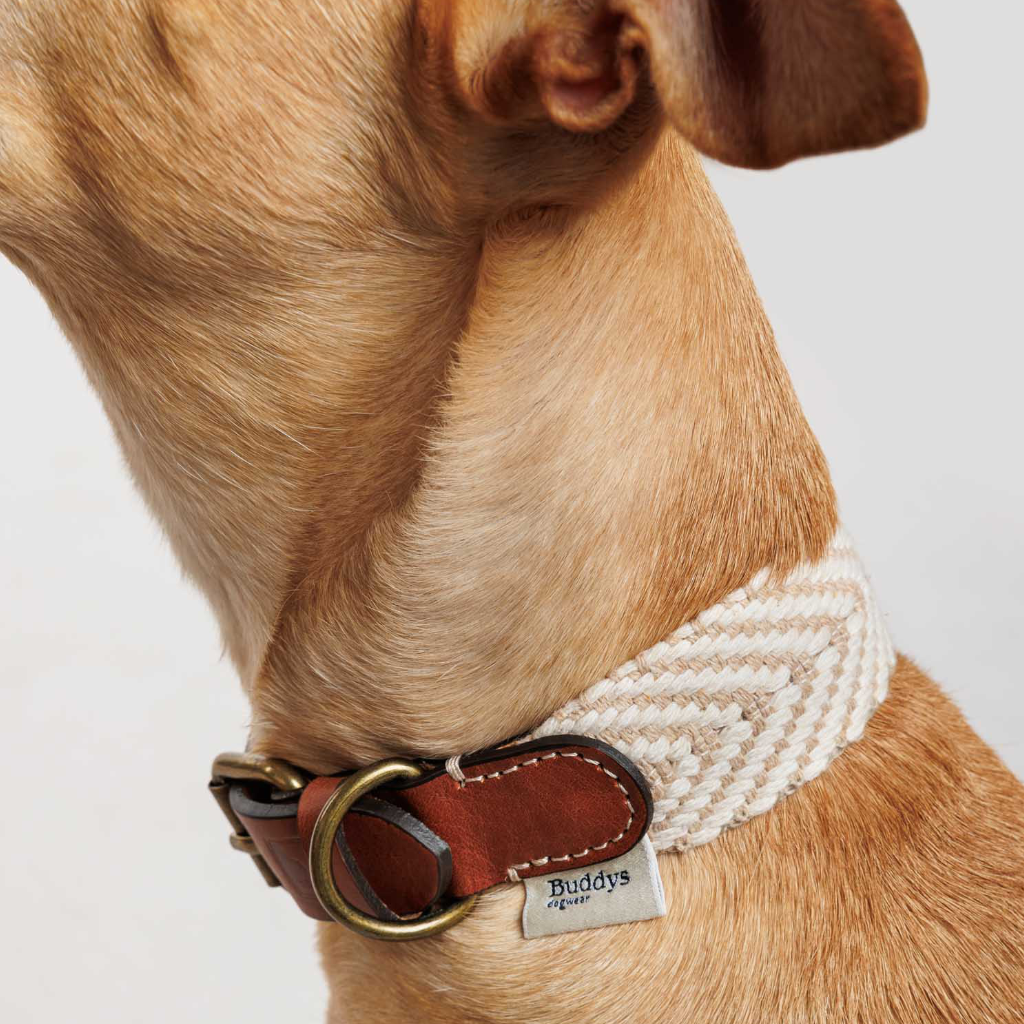 Tragebild am Hals Halsband Portixol Sand - Summer Edition - Buddys Dogwear